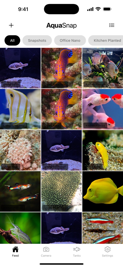 The AquaSnap feed, a grid of fish, coral and shrimp photos filtered by tank