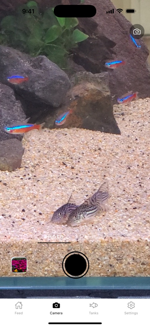 The AquaSnap camera pointed at a planted tank with neon tetras and two corydoras