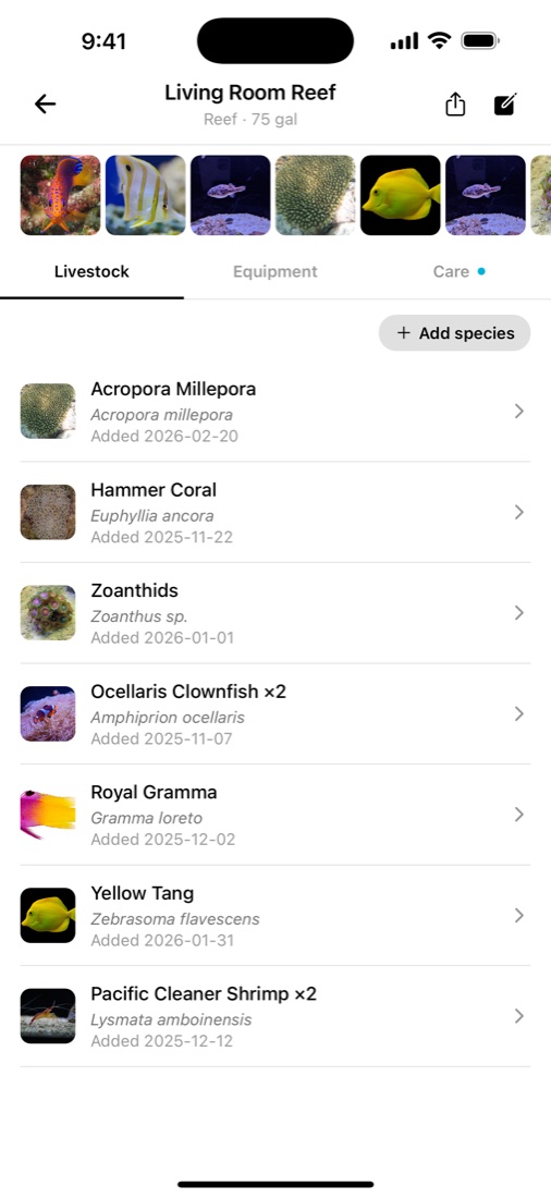 Living Room Reef, a 75 gallon reef, with its livestock list of corals, fish and shrimp